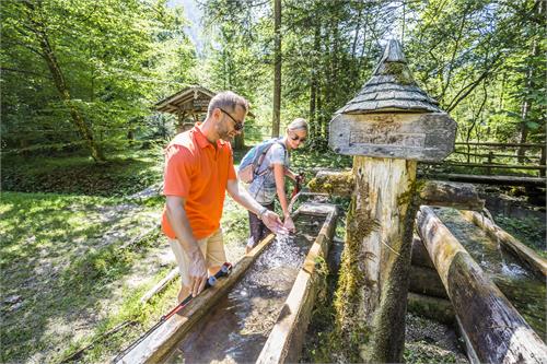 Untersberg Nature Park / Forest quiz trail