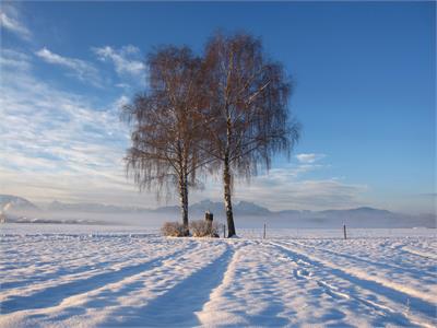 Sport & Freizeit im Winter